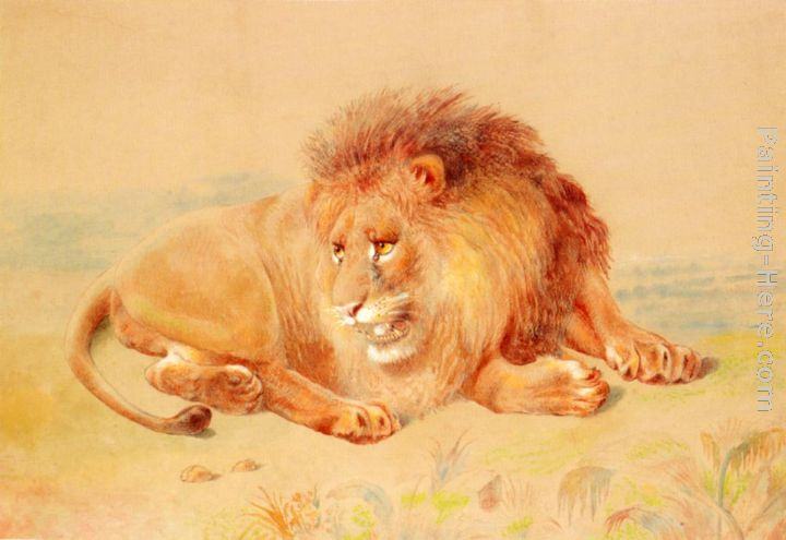 William Huggins Lion